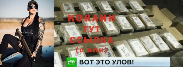 ешки Белокуриха