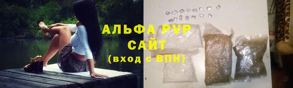 ешки Белокуриха