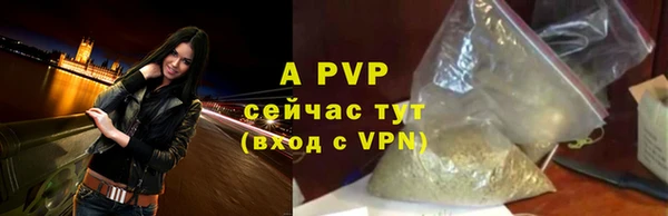 ешки Белокуриха