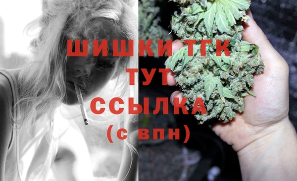 ГАЛЛЮЦИНОГЕННЫЕ ГРИБЫ Каменка