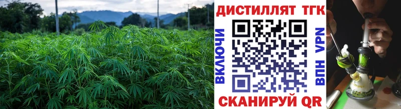 ТГК гашишное масло  Гусев 