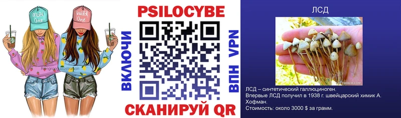 закладки  Гусев  Псилоцибиновые грибы ЛСД 