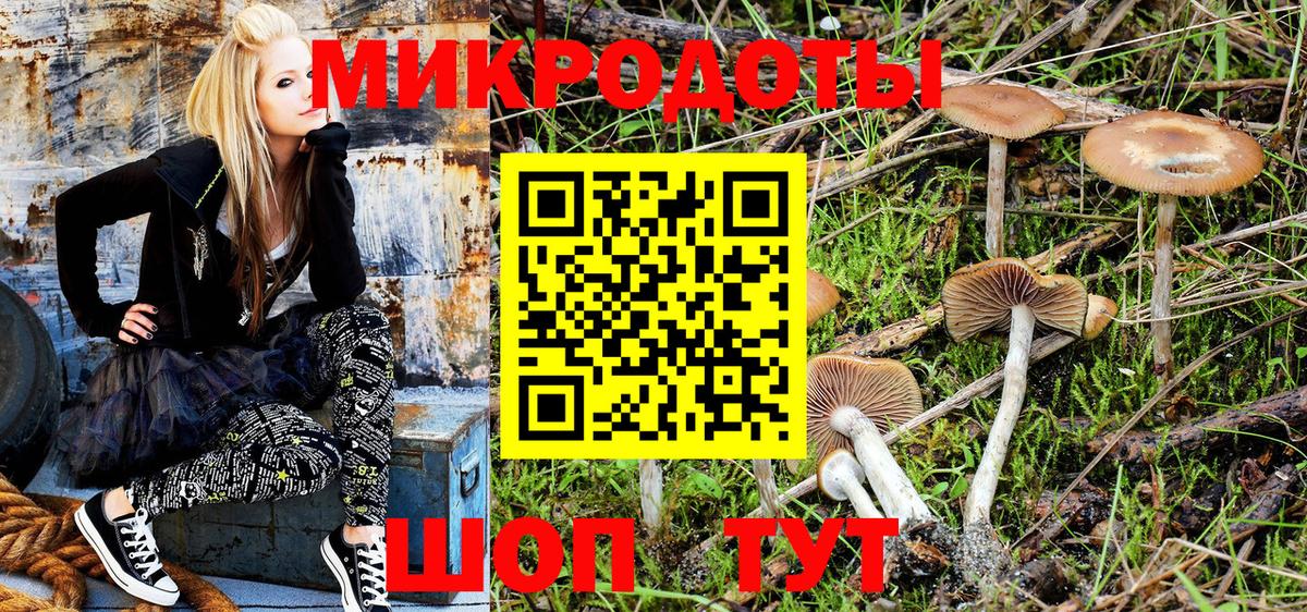 Псилоцибиновые грибы Magic Shrooms  Вход с VPN  Гусев  Псилоцибиновые грибы Magic Shrooms 