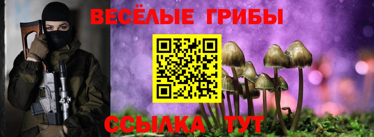 Псилоцибиновые грибы MAGIC MUSHROOMS Гусев